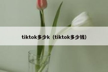 tiktok多少k（tiktok多少钱）