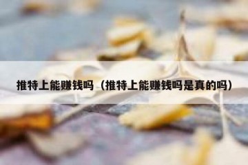 推特上能赚钱吗（推特上能赚钱吗是真的吗）