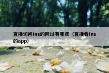 直接访问ins的网址有哪些（直接看ins的app）