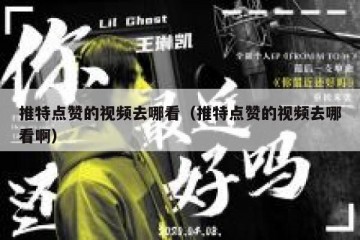 推特点赞的视频去哪看（推特点赞的视频去哪看啊）