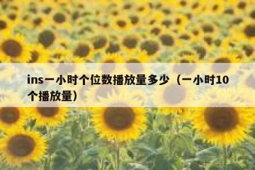 ins一小时个位数播放量多少（一小时10个播放量）