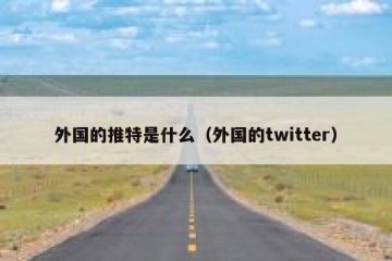 外国的推特是什么（外国的twitter）