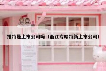 推特是上市公司吗（浙江专精特新上市公司）
