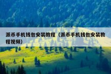 派币手机钱包安装教程（派币手机钱包安装教程视频）