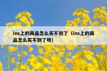 ins上的商品怎么买不到了（ins上的商品怎么买不到了呀）
