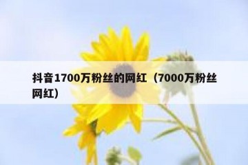 抖音1700万粉丝的网红（7000万粉丝网红）