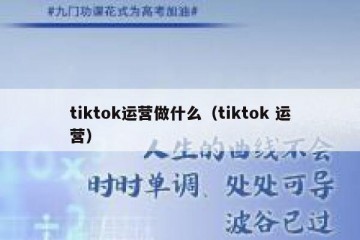 tiktok运营做什么（tiktok 运营）