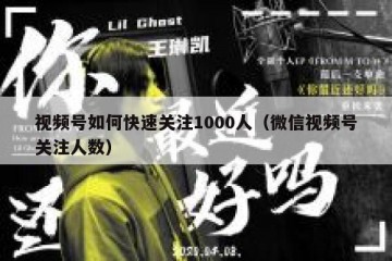 视频号如何快速关注1000人（微信视频号关注人数）