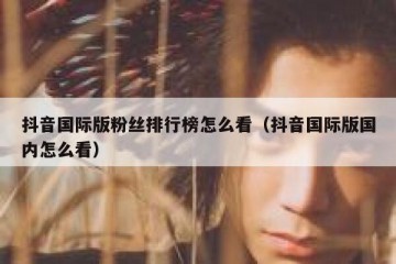 抖音国际版粉丝排行榜怎么看（抖音国际版国内怎么看）