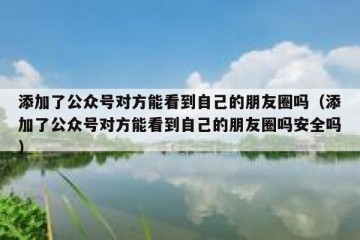 添加了公众号对方能看到自己的朋友圈吗（添加了公众号对方能看到自己的朋友圈吗安全吗）