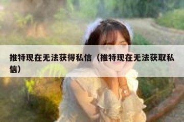 推特现在无法获得私信（推特现在无法获取私信）