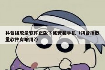 抖音播放量软件正版下载安装手机（抖音播放量软件有啥用?）