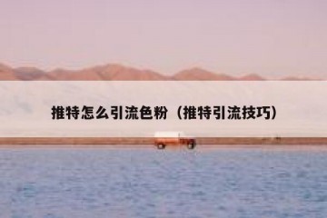 推特怎么引流色粉（推特引流技巧）