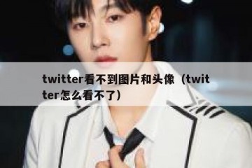 twitter看不到图片和头像（twitter怎么看不了）