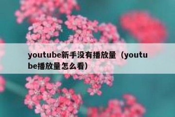 youtube新手没有播放量（youtube播放量怎么看）