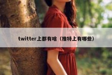 twitter上都有啥（推特上有哪些）