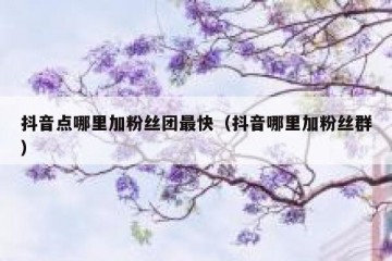 抖音点哪里加粉丝团最快（抖音哪里加粉丝群）