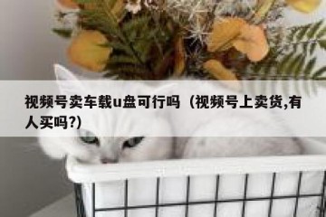 视频号卖车载u盘可行吗（视频号上卖货,有人买吗?）