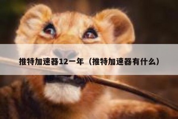 推特加速器12一年（推特加速器有什么）