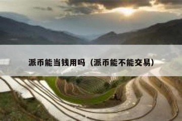 派币能当钱用吗（派币能不能交易）