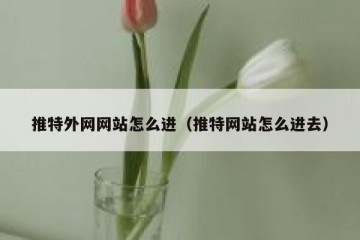 推特外网网站怎么进（推特网站怎么进去）
