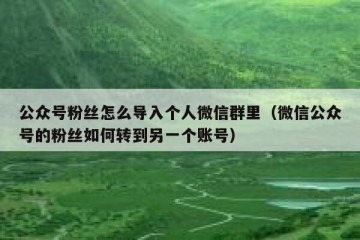 公众号粉丝怎么导入个人微信群里（微信公众号的粉丝如何转到另一个账号）