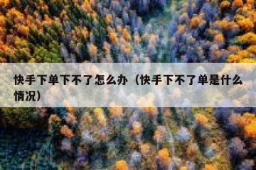 快手下单下不了怎么办（快手下不了单是什么情况）
