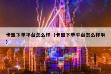 卡盟下单平台怎么样（卡盟下单平台怎么样啊）