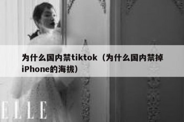 为什么国内禁tiktok（为什么国内禁掉iPhone的海拔）