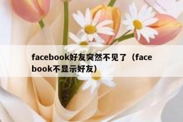 facebook好友突然不见了（facebook不显示好友）