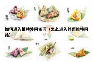 如何进入推特外网访问（怎么进入外网推特网站）