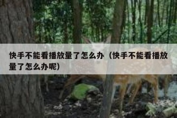 快手不能看播放量了怎么办（快手不能看播放量了怎么办呢）