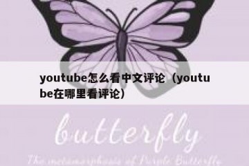 youtube怎么看中文评论（youtube在哪里看评论）