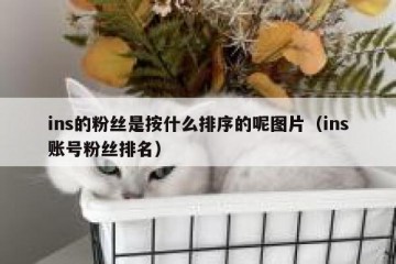 ins的粉丝是按什么排序的呢图片（ins账号粉丝排名）