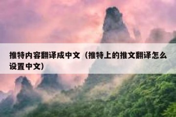 推特内容翻译成中文（推特上的推文翻译怎么设置中文）