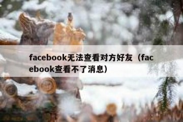 facebook无法查看对方好友（facebook查看不了消息）