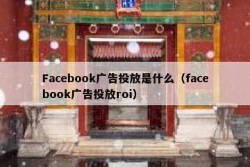 Facebook广告投放是什么（facebook广告投放roi）