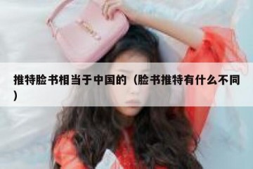 推特脸书相当于中国的（脸书推特有什么不同）