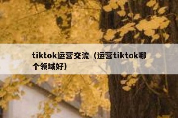 tiktok运营交流（运营tiktok哪个领域好）