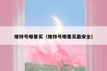 推特号哪里买（推特号哪里买最安全）