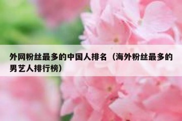 外网粉丝最多的中国人排名（海外粉丝最多的男艺人排行榜）