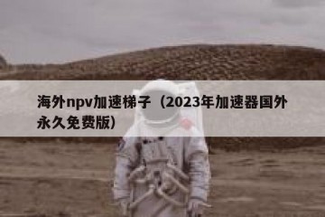 海外npv加速梯子（2023年加速器国外永久免费版）
