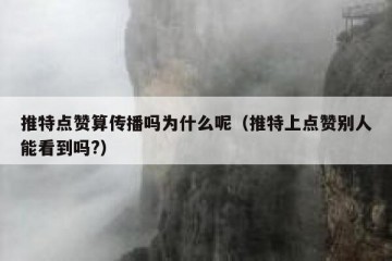 推特点赞算传播吗为什么呢（推特上点赞别人能看到吗?）