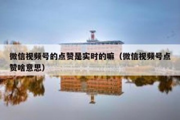 微信视频号的点赞是实时的嘛（微信视频号点赞啥意思）