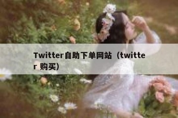 Twitter自助下单网站（twitter 购买）