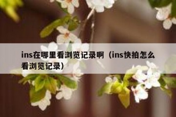 ins在哪里看浏览记录啊（ins快拍怎么看浏览记录）
