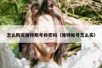 怎么购买推特账号和密码（推特帐号怎么买）