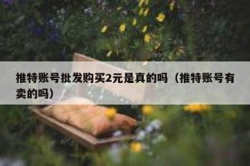 推特账号批发购买2元是真的吗（推特账号有卖的吗）