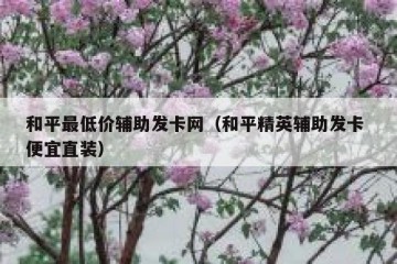 和平最低价辅助发卡网（和平精英辅助发卡 便宜直装）