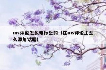 ins评论怎么带标签的（在ins评论上怎么添加话题）